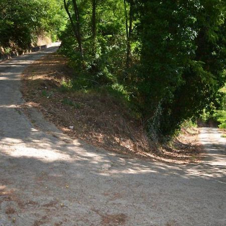 A'Loro B&B Terranuova Bracciolini Exteriér fotografie