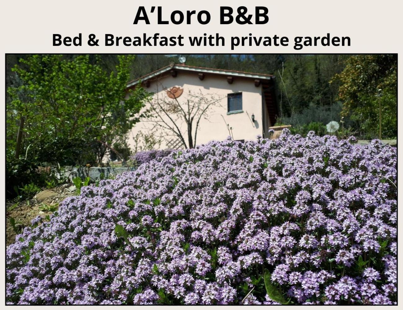 A'Loro B&B Terranuova Bracciolini Exteriér fotografie