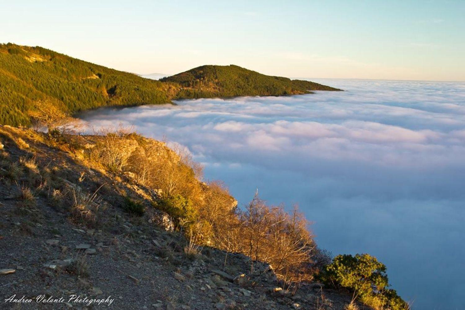 A'Loro B&B Terranuova Bracciolini Exteriér fotografie
